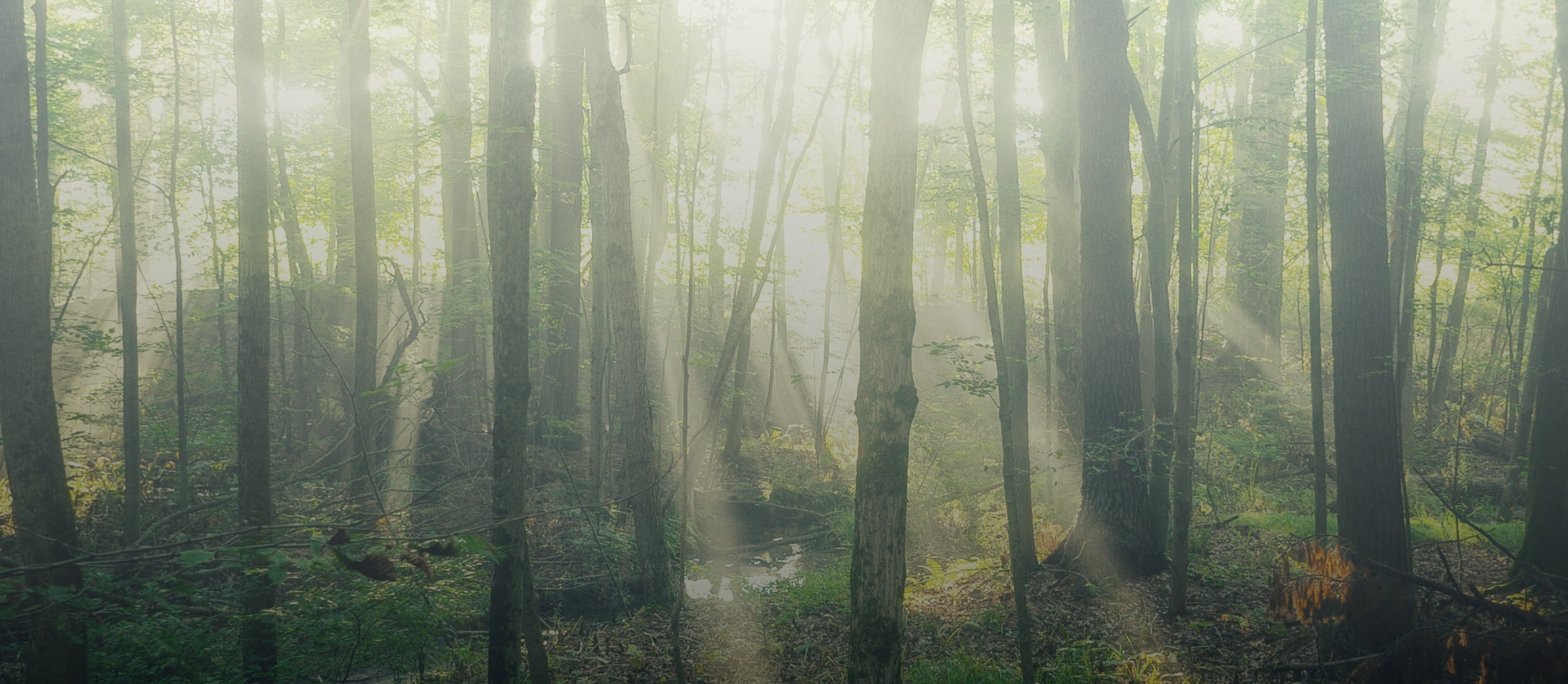 トップページ画像